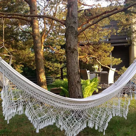 Lavender Kuressaare
